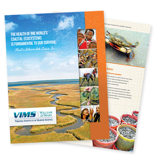 VIMS Development Brochure